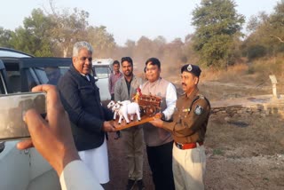 union forest minister inspect kuno national park