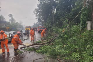 rain update  Weather updates in Kozhikode  കോഴിക്കോട് ജില്ലയില്‍ കനത്ത മഴ  വ്യാപക നാശനഷ്‌ടം  കനത്ത മഴ  rain updates in kerala  kerala rain updates  മഴ വാര്‍ത്തകള്‍  മഴക്കെടുതികള്‍  Weather updates in Kozhikode  Weather updates in kerala