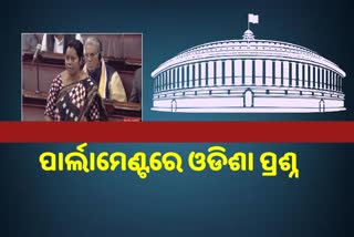 RajyaSabha: ଅମର୍ଦ୍ଦା ଏୟାରପୋର୍ଟ ବିକଶିତ ପାଇଁ କେନ୍ଦ୍ର ସରକାର କଣ ପଦକ୍ଷେପ ନେଇଛନ୍ତି: ସାଂସଦ ମମତା ମହନ୍ତ