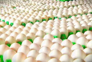MP Driver flees with 4k eggs meant for IAF mess in Gwalior