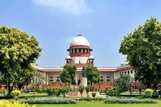Etv Bharat SC hearing on review petition of Bilkis Bano