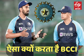 KL Rahul Rahul Dravid and BCCI