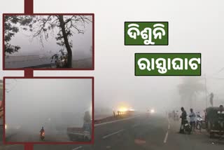 fog affects visibility in bhubaneswar