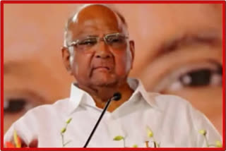 NCP President Sharad Pawar