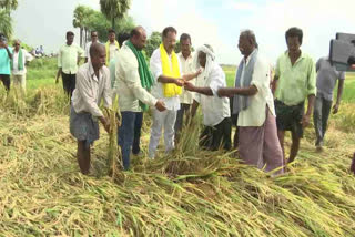 నక్కా ఆనంద్ బాబు