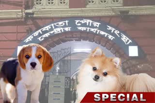 pet-can-be-registered-online-in-kolkata-like-kerala