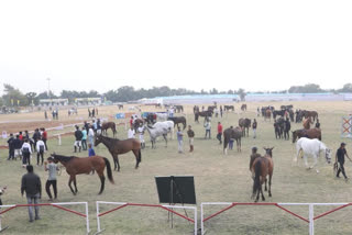 National horse riding competition organized in Bhopal