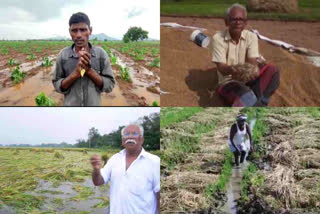 Crop loss to farmers due to Cyclone