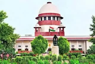 SC collegium recommends