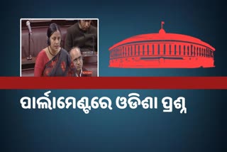 RajyaSabha: ଓଡିଶାର କେତେ SHG  ମହିଳାଙ୍କୁ ଭୋକେସନାଲ ତାଲିମ ମିଳିଛି: ସାଂସଦ ସୁଲତା ଦେଓ