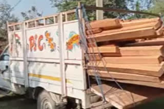 Wood smuggling in Nagaon