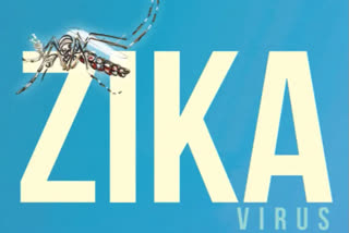 Zika Virus: its causes, symptoms and preventive measures