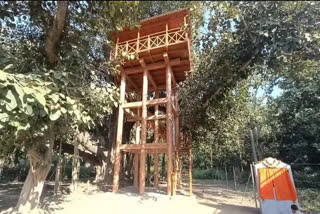 Uttarakhand's first-ever tree house for tourists opens