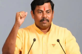 BJP MLA Rajasingh