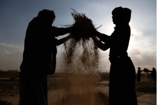 Suicide of women in agrarian sector not considered 'farmer suicide': Digvijay Singh in RS