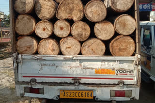 Wood smuggling