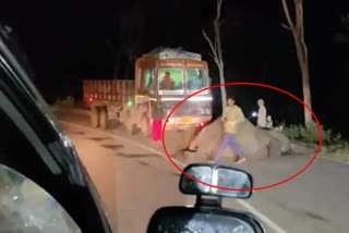 Speeding truck in Bandipur tiger reserve kills elephant  driver arrested