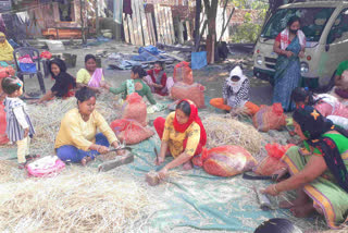 Training in mushroom cultivation in Borma