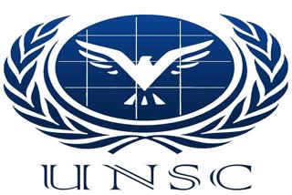 India permanent membership UNSC