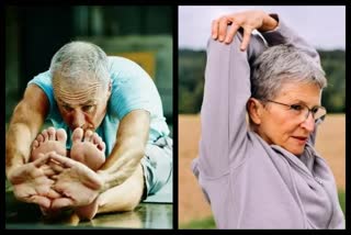 Exercise, meditation does not improve cognitive ability in the elderly!