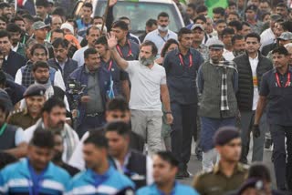 Etv BharatRahul Gandhi asks cong leaders not to compare him with Mahatma Gandhi during Bharat Jodo Yatra