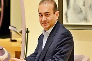 NIRAV MODI LOSES BID TO APPEAL AGAINST EXTRADITION TO INDIA IN UK SUPREME COURT