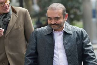 UK Supreme Court on nirav modi case