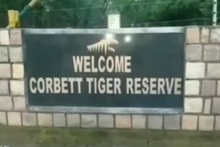 Uttarakhand: Corbett administration imposes section 144 due to tiger attacks