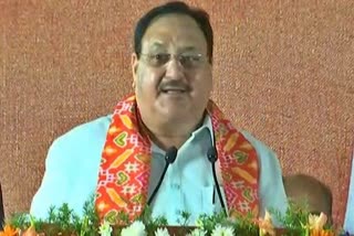 jp nadda