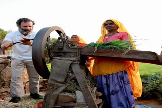 दलित किसान के घर पहुंचे राहुल