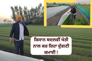 farming of vegetables, Village Mohra in Barnala