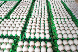 Namakkal eggs exported to Malaysia  Namakkal eggs  egg shortage in Malaysia  exportation of Namakkal eggs to Malaysia  മലേഷ്യന്‍ പ്രാതലിലും ഇനി നാമക്കല്‍ മുട്ട  നാമക്കല്‍ മുട്ട  എപിഇഡിഎ  എക്യുസിഎസ്  ഇന്ത്യൻ മുട്ട ഇറക്കുമതി  ഇന്ത്യൻ മുട്ട കയറ്റുമതി  മലേഷ്യയില്‍ മുട്ട ക്ഷാമം
