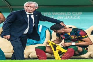 FIFA World Cup 2022  Fernando Santos  Portugal coach Fernando Santos  फर्नांडो सैंटोस  फीफा विश्व कप 2022