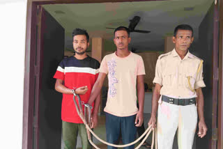 Thief terror in Rangia