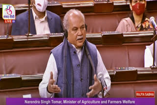 Congress resorts to 'politics of lies' on farmers' issue: Tomar in RS