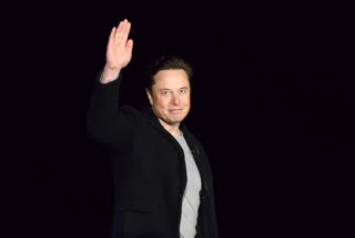 Elon Musk CEO of Twitter