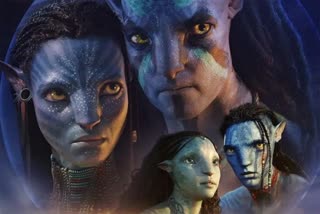 Avatar 2 collection details