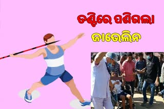 ତଣ୍ଟିରେ ପଶିଲା ଜାଭେଲିନ ଷ୍ଟିକ