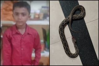 Boy died by snake bite