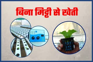 Hydroponic Farming in Hamirpur