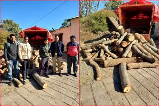 Illegal Wood Recovered In Nahan.