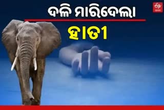 elephant terror in keonjhar