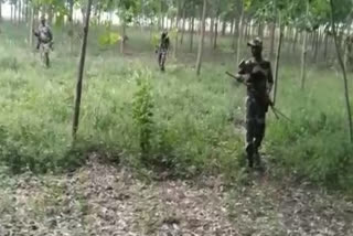 Drone seen in Dera Baba Nanak