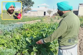 organic farming in Bathinda