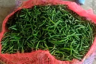 Alwar green chillies demand increased