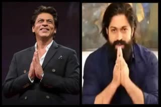 shahrukh khan compliments on Yash