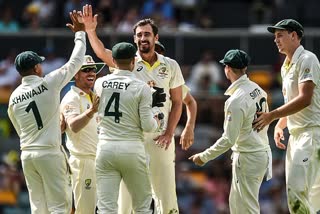 Australia beat South Africa by 6 wickets in Brisbane test
