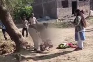 ratlam woman tied to tree and beaten up in ratlam video goes viral