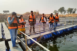 Fisheries In Closed Mine