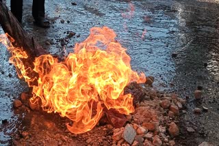 જૂનાગઢમાં LPG સિલિન્ડરમાં આગ લાગતા લોકોમાં ભયનો માહોલ